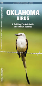 Oklahoma Birds: An Introduction to Familiar Species