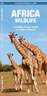 Africa Wildlife: A Folding Pocket Guide to Familiar Animals