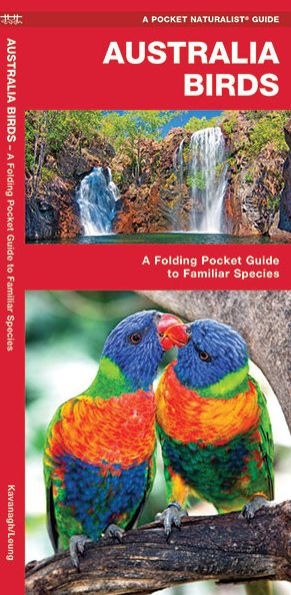 Australia Birds: A Folding Pocket Guide to Familiar Species