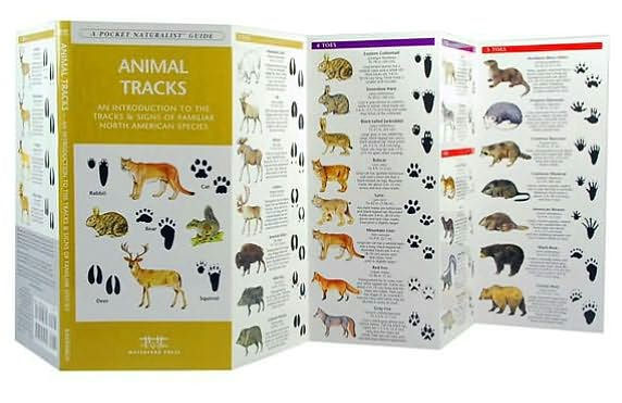 Animal Tracks: A Folding Pocket Guide to the Tracks & Signs of Familiar North American Species