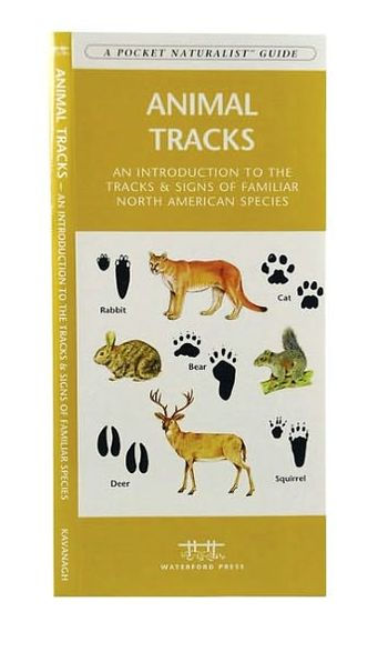 Animal Tracks: A Folding Pocket Guide to the Tracks & Signs of Familiar North American Species