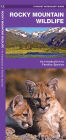 Alternative view 2 of Rocky Mountain Wildlife: A Folding Pocket Guide to Familiar Animals