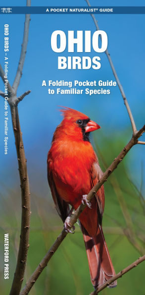 Ohio Birds: A Folding Pocket Guide to Familiar Species