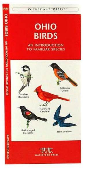 Ohio Birds: A Folding Pocket Guide to Familiar Species