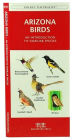 Alternative view 3 of Arizona Birds: A Folding Pocket Guide to Familiar Species
