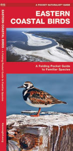 Eastern Coastal Birds