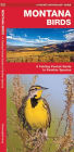 Montana Birds: A Folding Pocket Guide to Familiar Species