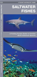 Saltwater Fishes