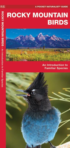Rocky Mountain Birds: A Folding Pocket Guide to Familiar Species
