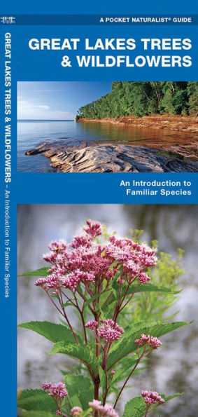 Great Lakes Trees & Wildflowers: A Folding Pocket Guide to Familiar Plants