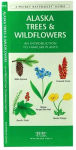 Alternative view 3 of Alaska Trees & Wildflowers: A Folding Pocket Guide to Familiar Plants