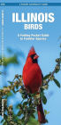 Illinois Birds: A Folding Pocket Guide to Familiar Species