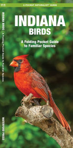 Indiana Birds: An Introduction to Familiar Species