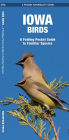 Iowa Birds: A Folding Pocket Guide to Familiar Species