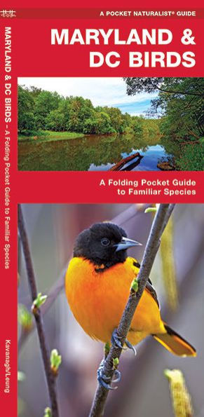 Maryland & DC Birds: A Folding Pocket Guide to Familiar Species