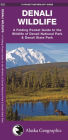 Denali Wildlife: A Folding Pocket Guide to the Wildlife of Denali National Park & Denali State Park