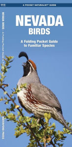 Title: Nevada Birds: A Folding Pocket Guide to Familiar Species, Author: James Kavanagh