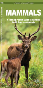 Title: Mammals: A Folding Pocket Guide to Familiar North American Animals, Author: James Kavanagh Waterford Press