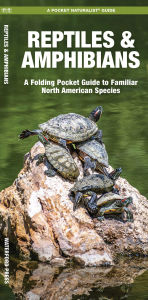 Title: Reptiles & Amphibians, Author: James Kavanagh Waterford Press