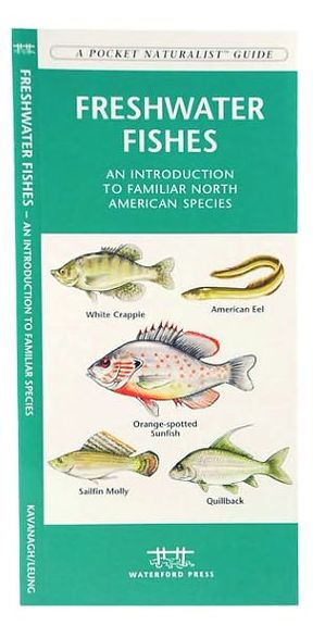 Freshwater Fishes: A Folding Pocket Guide to Familiar North American Species