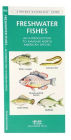 Alternative view 2 of Freshwater Fishes: A Folding Pocket Guide to Familiar North American Species