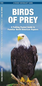 Title: Birds of Prey: A Folding Pocket Guide to Familiar North American Raptors, Author: James Kavanagh