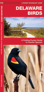 Title: Delaware Birds: A Folding Pocket Guide to Familiar Species, Author: James Kavanagh