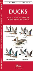 Ducks: A Field Guide to Familiar North American Species