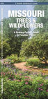 Missouri Trees & Wildflowers: A Folding Pocket Guide to Familiar Plants