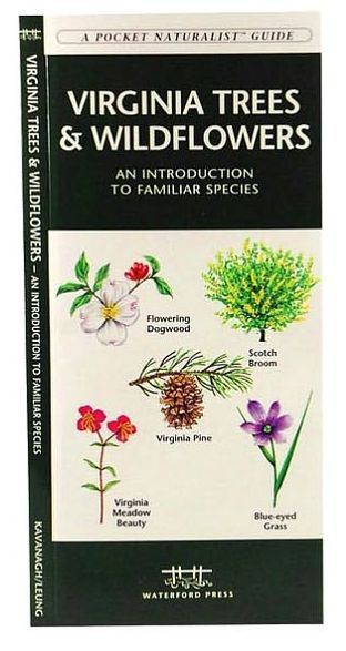 Virginia Trees & Wildflowers: A Folding Pocket Guide to Familiar Plants