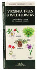 Alternative view 3 of Virginia Trees & Wildflowers: A Folding Pocket Guide to Familiar Plants