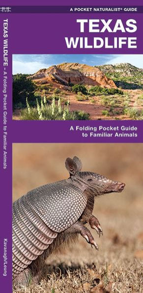 Texas Wildlife: A Folding Pocket Guide to Familiar Animals