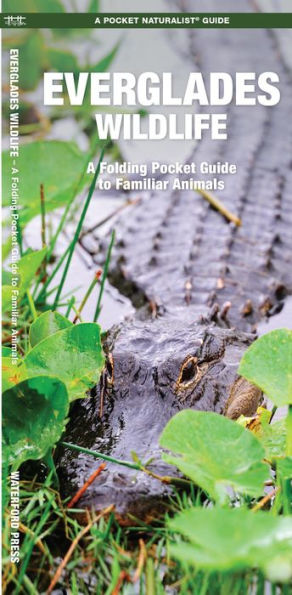 Everglades Wildlife: A Folding Pocket Guide to Familiar Animals