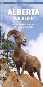 Title: Alberta Wildlife, 2nd Ed, Author: James Kavanagh Waterford Press
