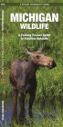 Michigan Wildlife: An Introduction to Familiar Species