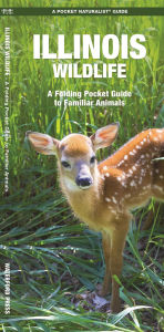 Title: Illinois Wildlife, Author: James Kavanagh Waterford Press