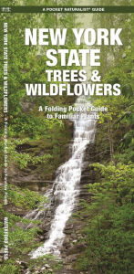 Title: New York State Trees & Wildflowers: A Folding Pocket Guide to Familiar Plants, Author: James Kavanagh