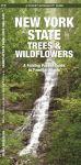 Alternative view 1 of New York State Trees & Wildflowers