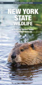 Title: New York State Wildlife: A Folding Pocket Guide to Familiar Animals, Author: Waterford Press