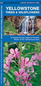Title: Yellowstone Trees & Wildflowers: A Folding Pocket Guide to Familiar Plants of the Yellowstone Area, Author: James Kavanagh