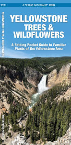 Title: Yellowstone Trees & Wildflowers, Author: James Kavanagh Waterford Press