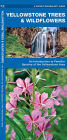 Alternative view 2 of Yellowstone Trees & Wildflowers: A Folding Pocket Guide to Familiar Plants of the Yellowstone Area