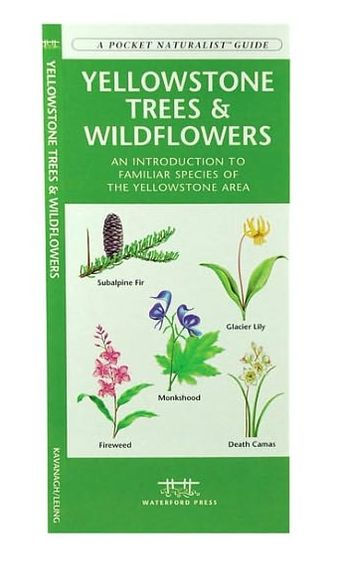 Yellowstone Trees & Wildflowers: A Folding Pocket Guide to Familiar Plants of the Yellowstone Area