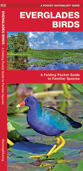 Everglades Birds: A Folding Pocket Guide to Familiar Species