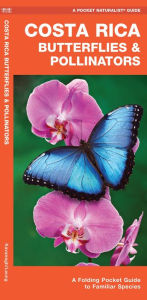 Costa Rica Butterflies and Moths: An Introduction to Familiar Species