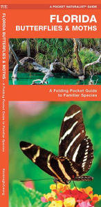Florida Butterflies and Moths: An Introduction to Familiar Species