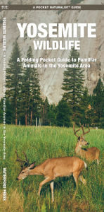 Pocket Naturalist Guide to Yosemite Wildlife: An Introduction to Familiar Species of the Yosemite Area