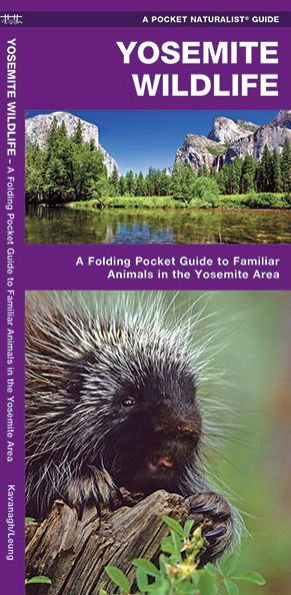 Pocket Naturalist Guide to Yosemite Wildlife: An Introduction to Familiar Species of the Yosemite Area