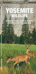 Alternative view 1 of Pocket Naturalist Guide to Yosemite Wildlife: An Introduction to Familiar Species of the Yosemite Area