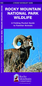 Rocky Mountain National Park Wildlife: An Introduction to Familiar Species